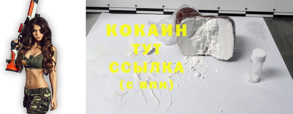 дмт Нея