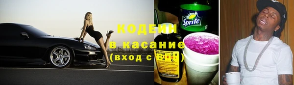 дмт Нея