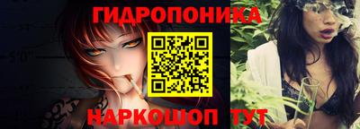 гашик Будённовск