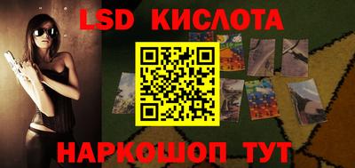 гашик Будённовск