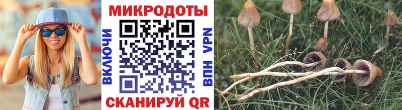 MEGA ONION Владивосток Псилоцибиновые грибы GOLDEN TEACHER где продают