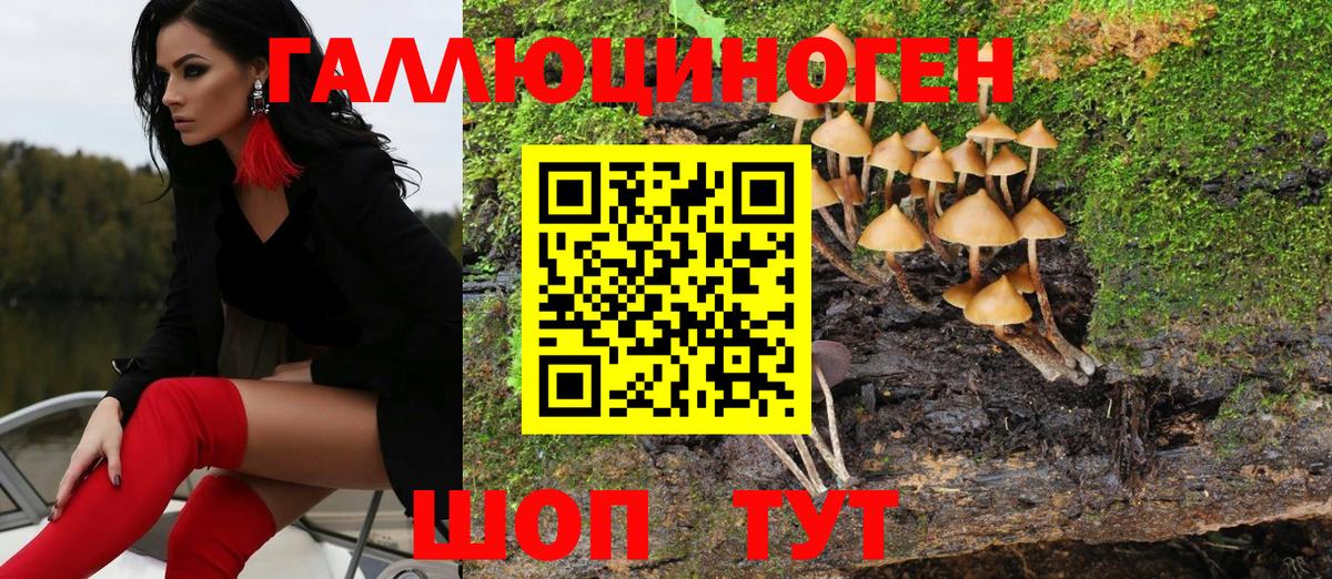 Псилоцибиновые грибы мухоморы  Владивосток 