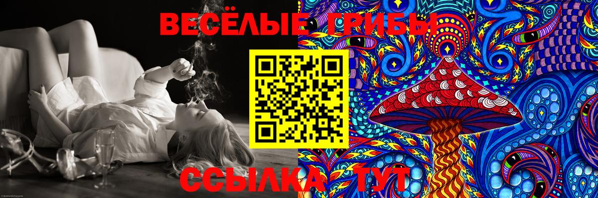 Псилоцибиновые грибы MAGIC MUSHROOMS Владивосток