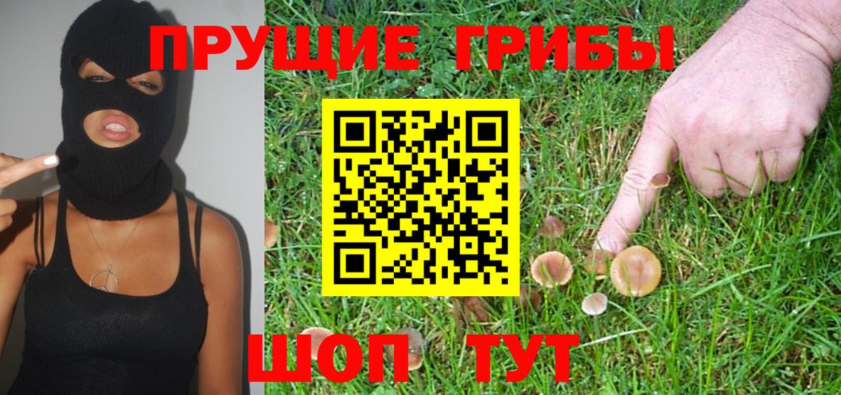 Галлюциногенные грибы Cubensis Владивосток