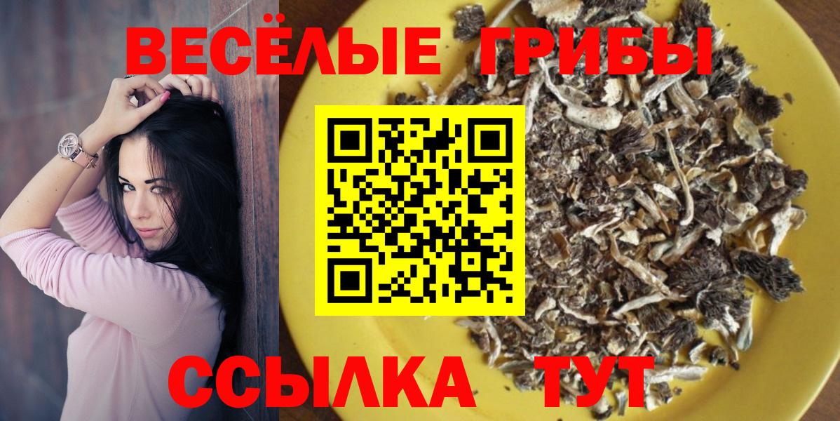 Владивосток  Галлюциногенные грибы Psilocybe  Вход с VPN 